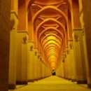 The Capacities of the Intellect