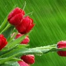 Resurrection: A Manifestation of God’s Far-reaching Wisdom